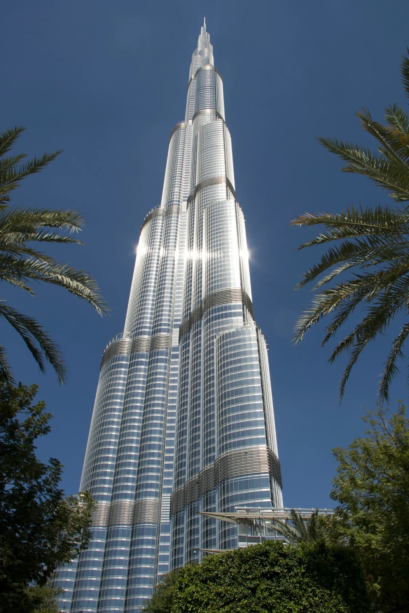 Burj Khalifa and palm trees in Dubai