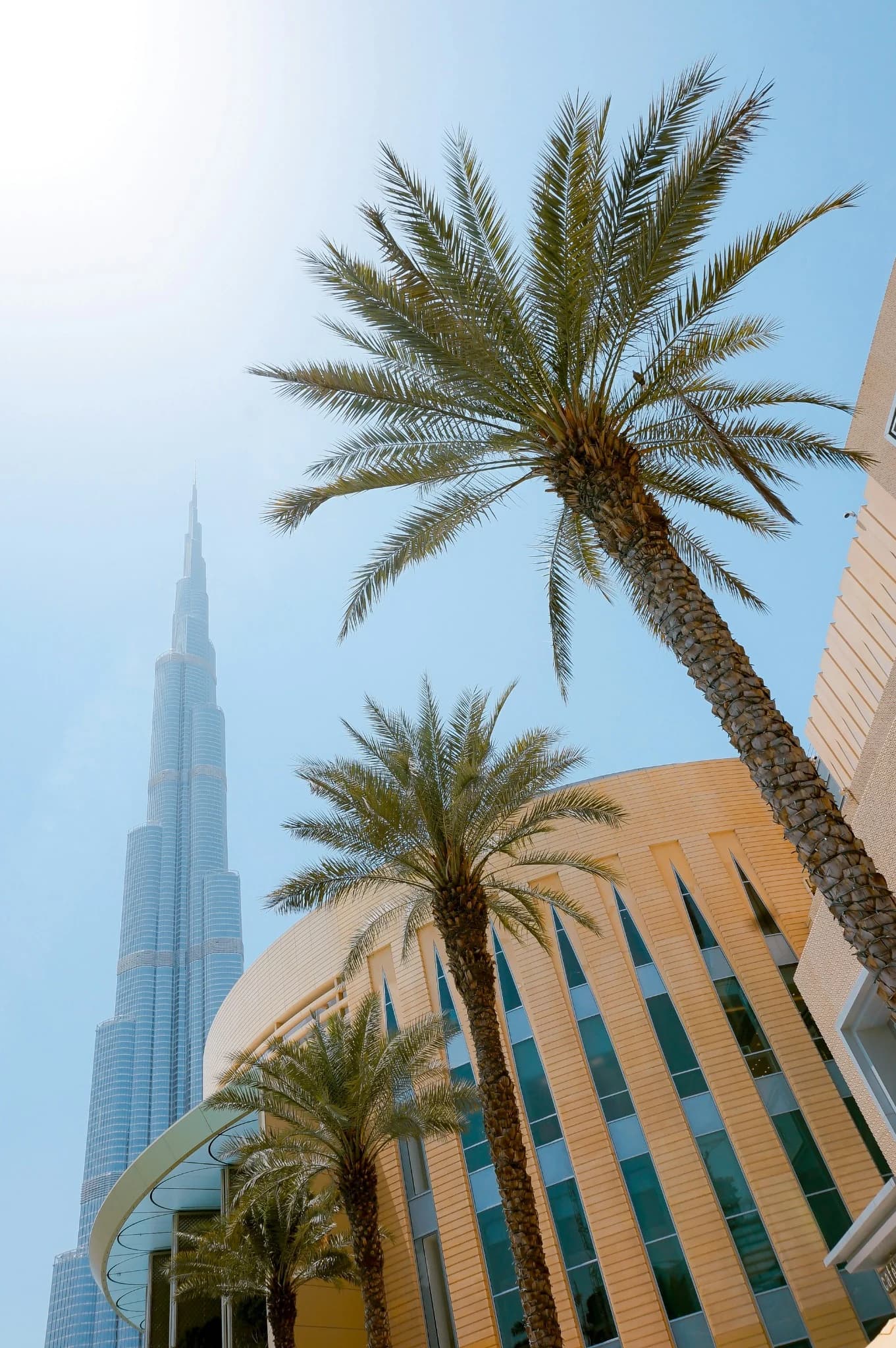 Dubai skyline framed by palm trees